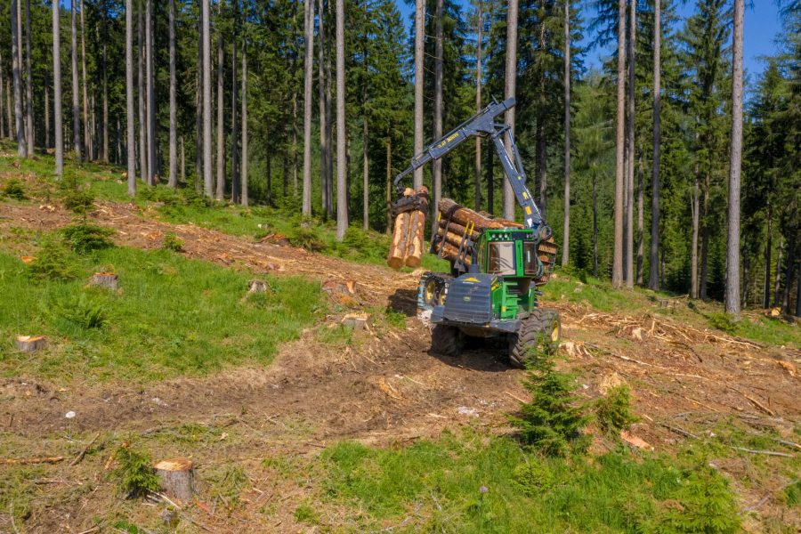 Huber & Tazreiter GmbH | Holzschlägerung & Holzbringung