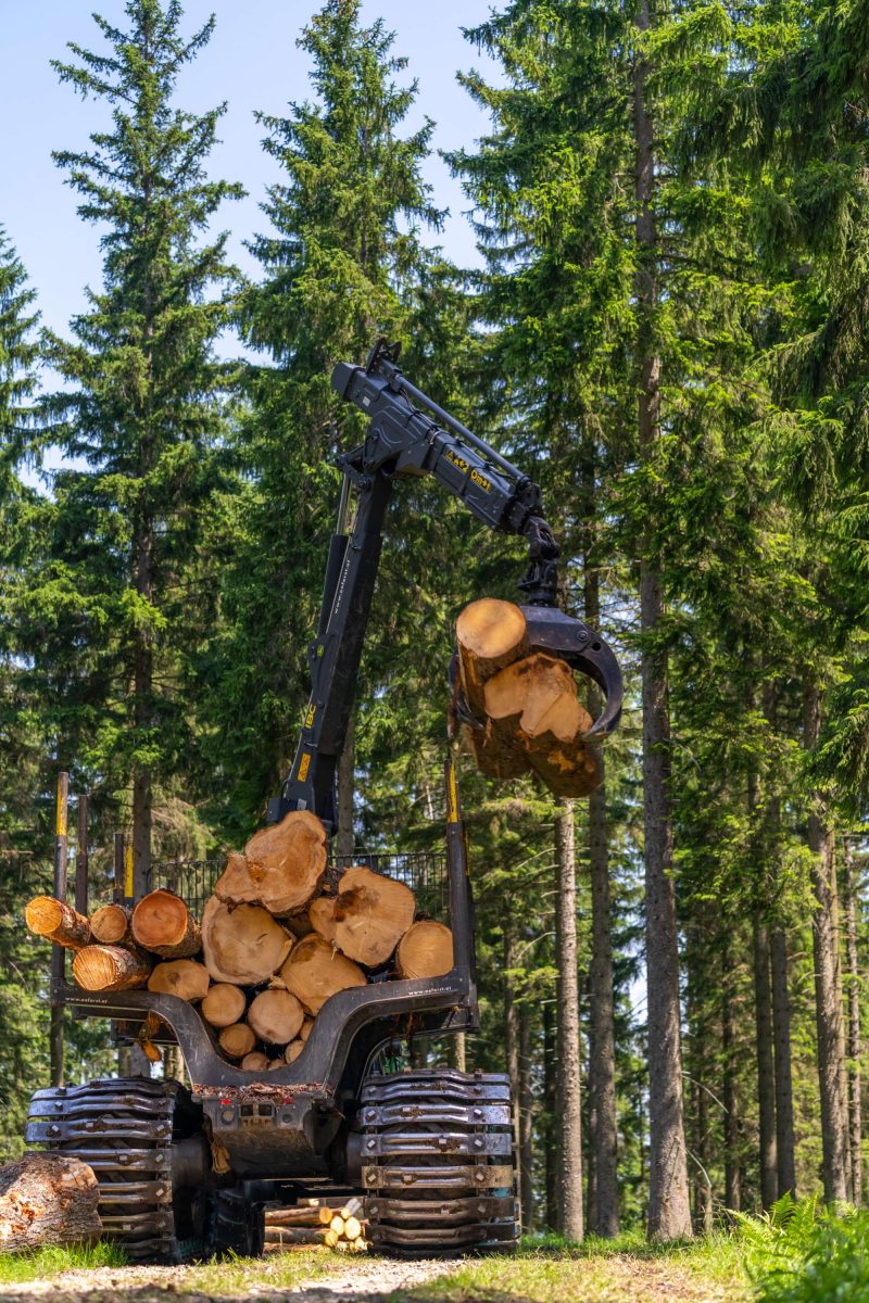 Huber & Tazreiter GmbH | Holzschlägerung & Holzbringung