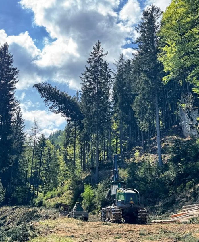 Kiefernchirurg 🌲🩺

#harvester #joke #forstarbeit #holzbringung #hutaz #chirurg #kiefer #wald #maschine #forestry #wearethefuture