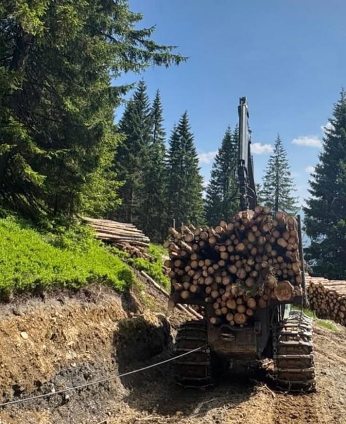 📍 Gaishorn

#holzbringung #hutaz #forwarder #forest #perfekteswetter #sommer #johndeere #winde